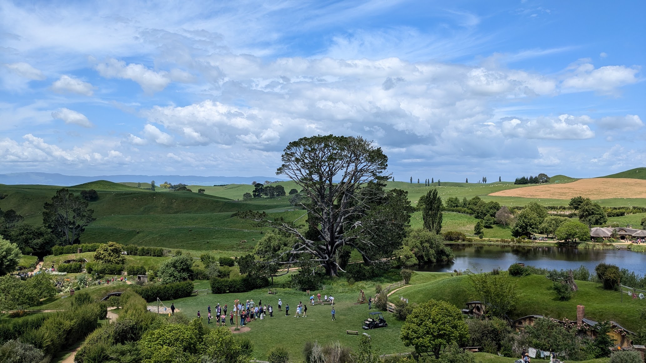 A photo I took of the giant tree, lake, and field where Bilbo's birthday was filmed in the beginning of The Fellowship of the Ring