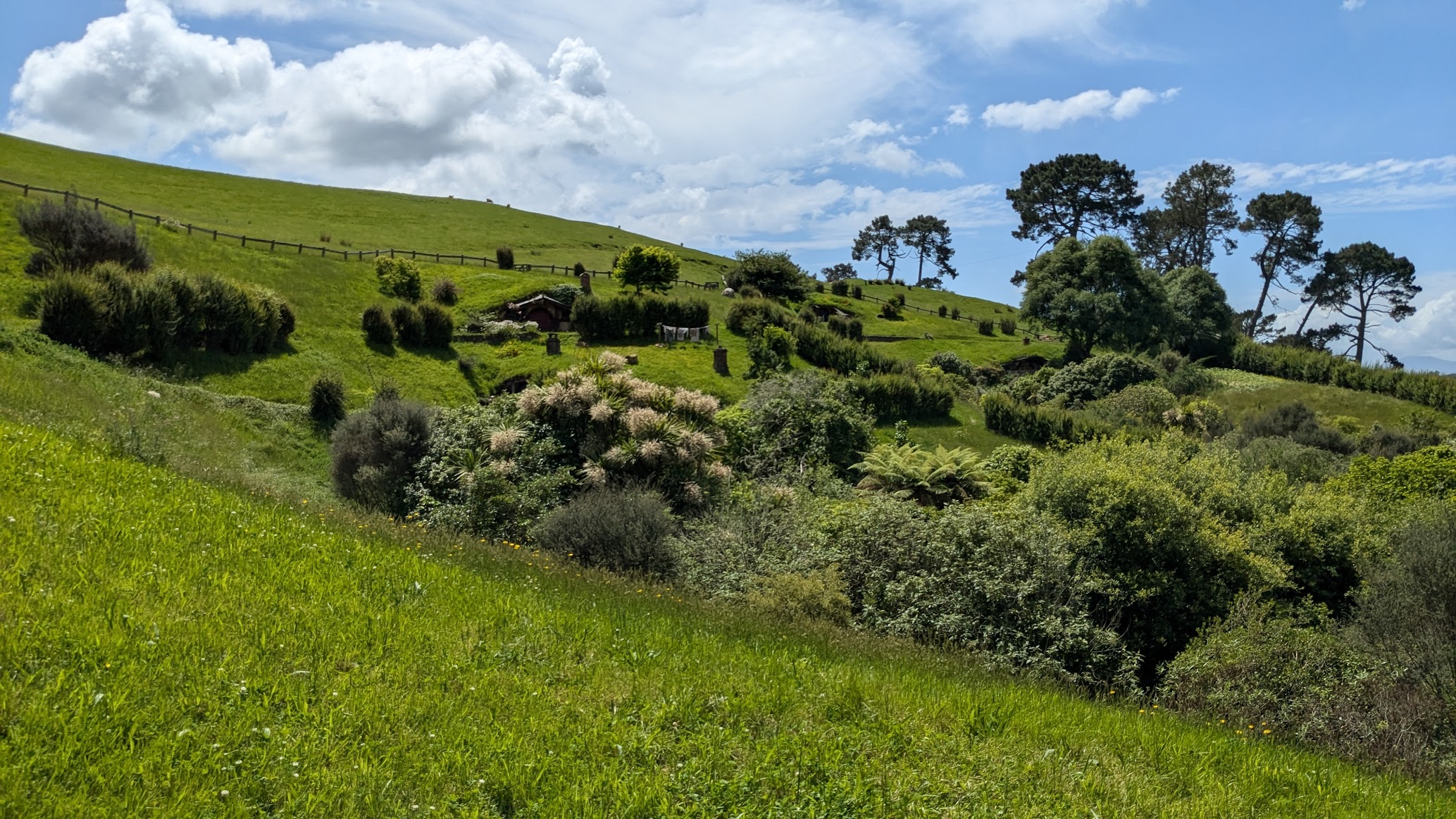 A photo I took of the Hobbiton movie set, showing many Hobbit hole doors and the sprawling grassy hills