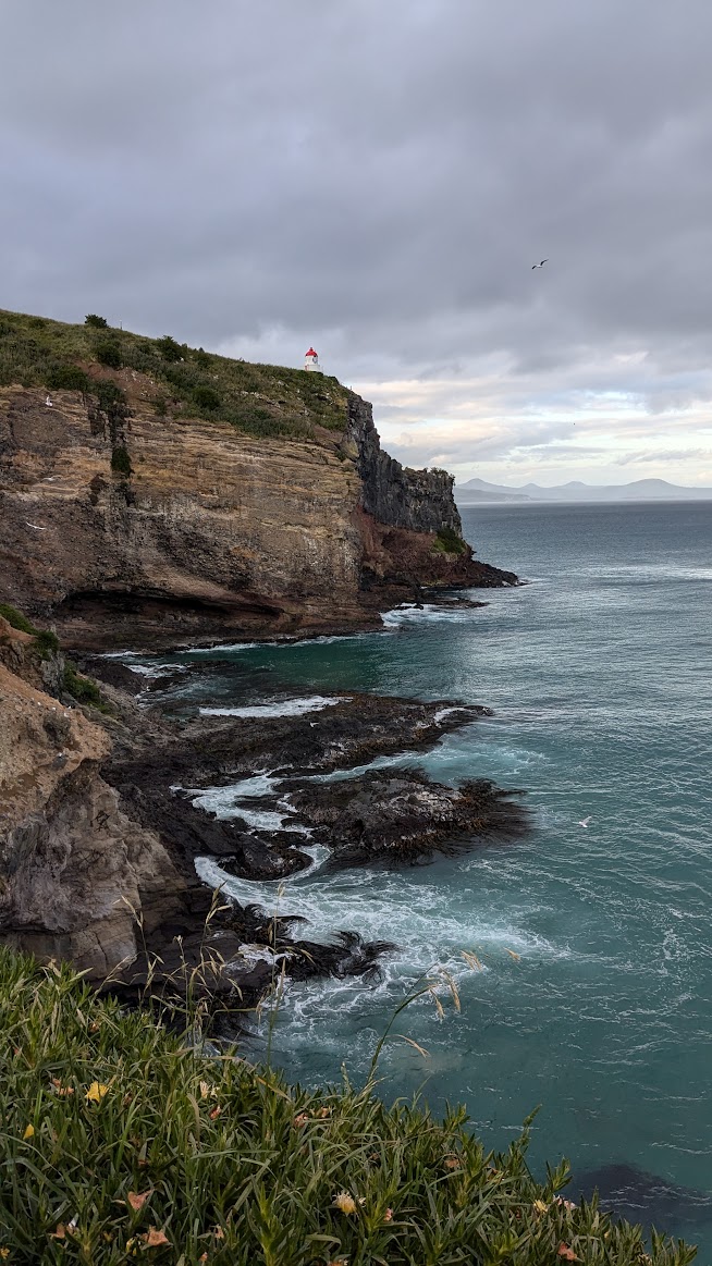 A photo I took of the Taiaroa Head lighthouse, northeastern cliff edge, and ocean below