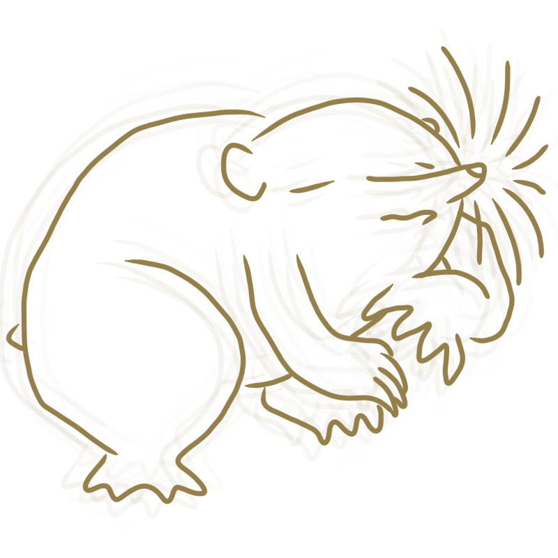 a rodent with faint contour lines offset horizontally