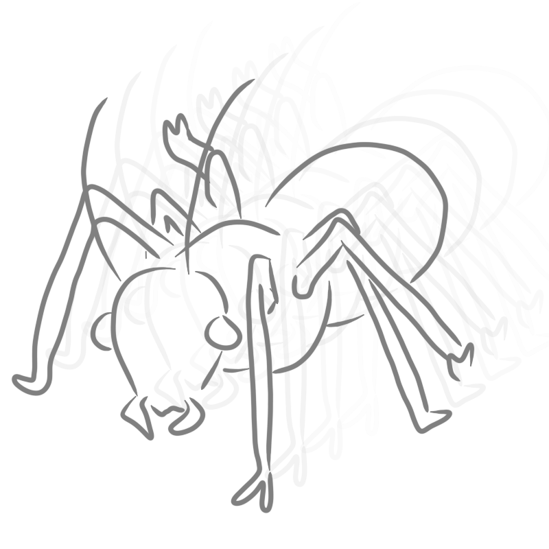 a bug featuring many copies of its contour drawing with varying opacity leading up to the darkest, closest one