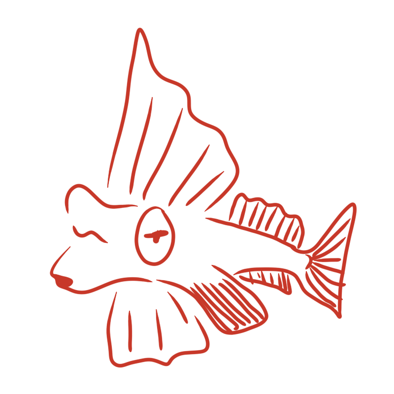 a fish with some very large and ornate fins