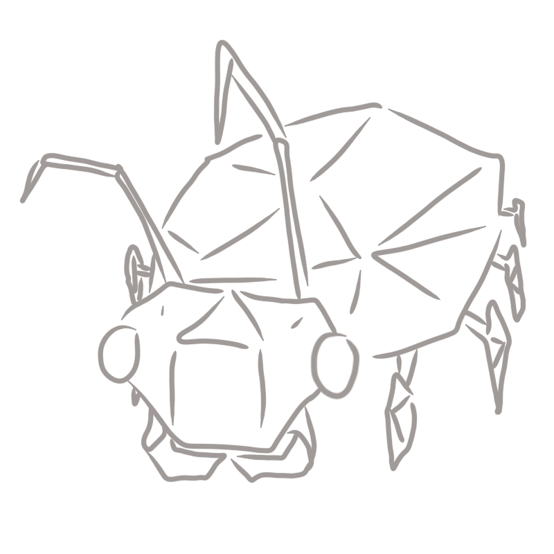 a bug with particularly geometric line patterns around its body