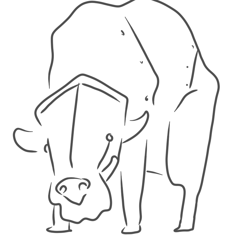 a buffalo with riveted plating on its back