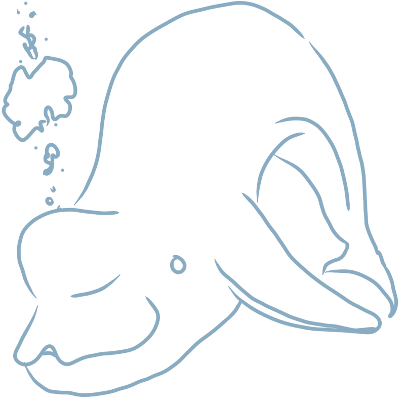 a beluga whale with a bubble stream coming out of its blowhole
