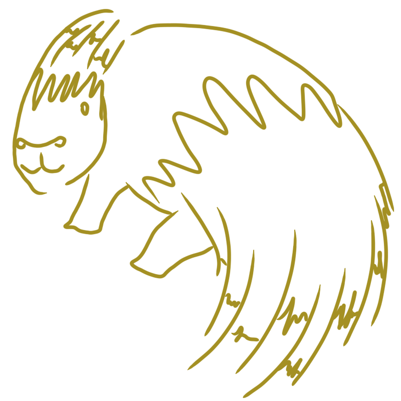 a porcupine with lots of zig zag patterning in its fur and quills