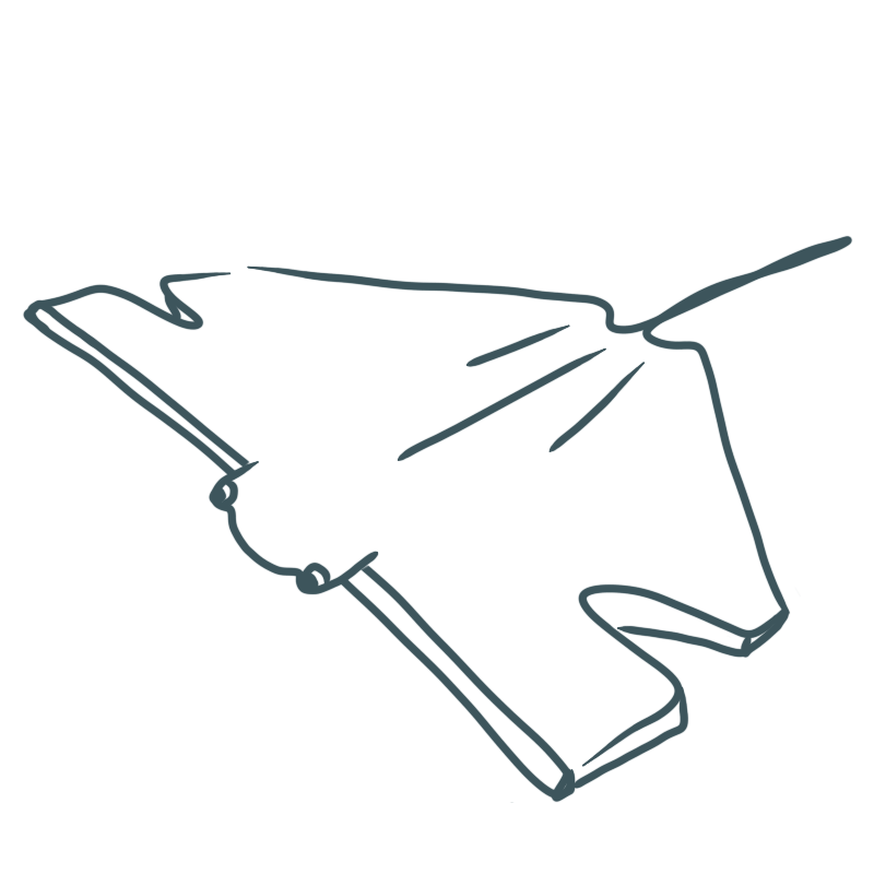 a stingray with an odd silhouette