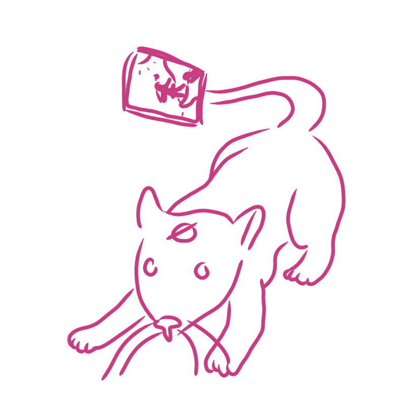 a rodent with a card attached to its tail