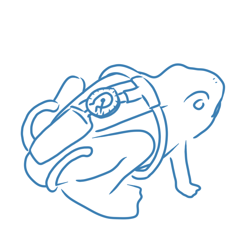 a frog with a tubular apparatus on its back and connected to its back thighs
