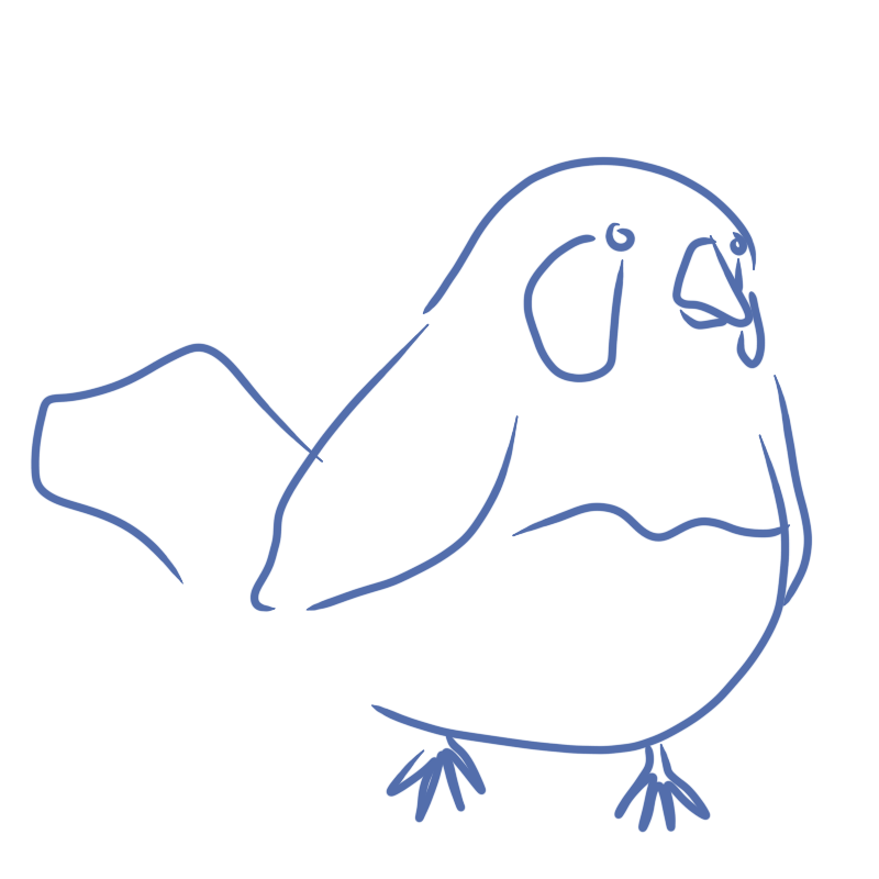 a rotund bird with some decorations around its eyes