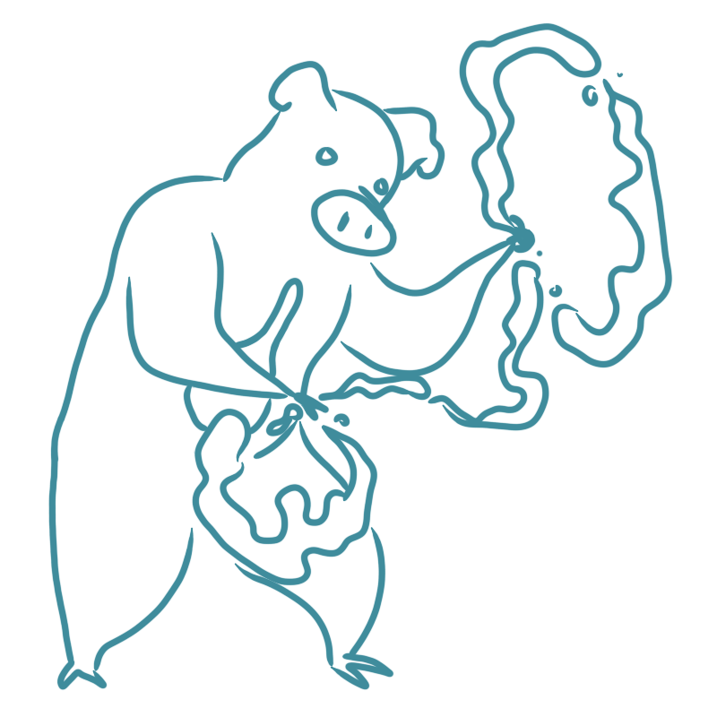 a pig with a water lasso