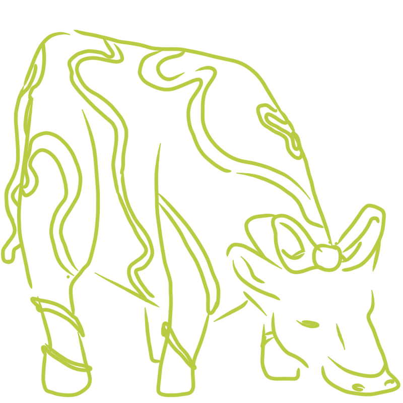 a cow with ribbon-like patterns all over its body and a knotted ribbon atop its head