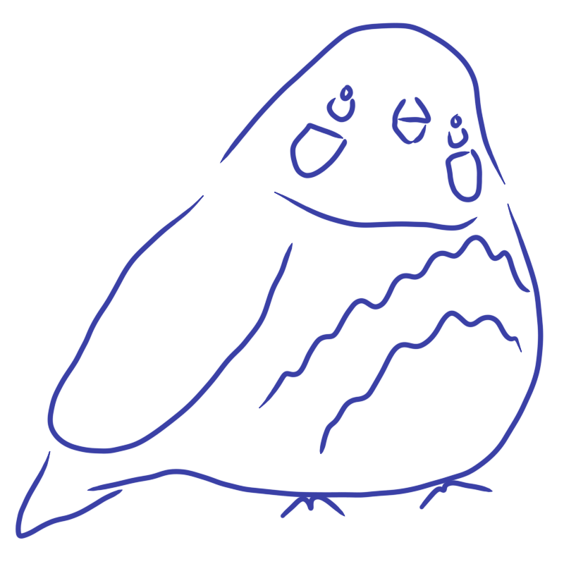 a very large looking bird with many decorations across its face and belly