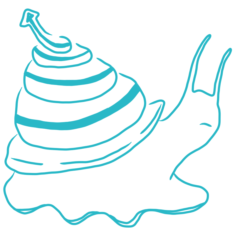 a snail with a blue stripe and arrow on its shell